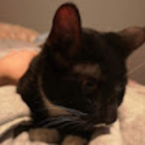 Meet your Posher, Dylan